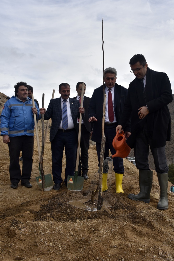 Gümüşhane’de ceviz seferberliği devam ediyor 2