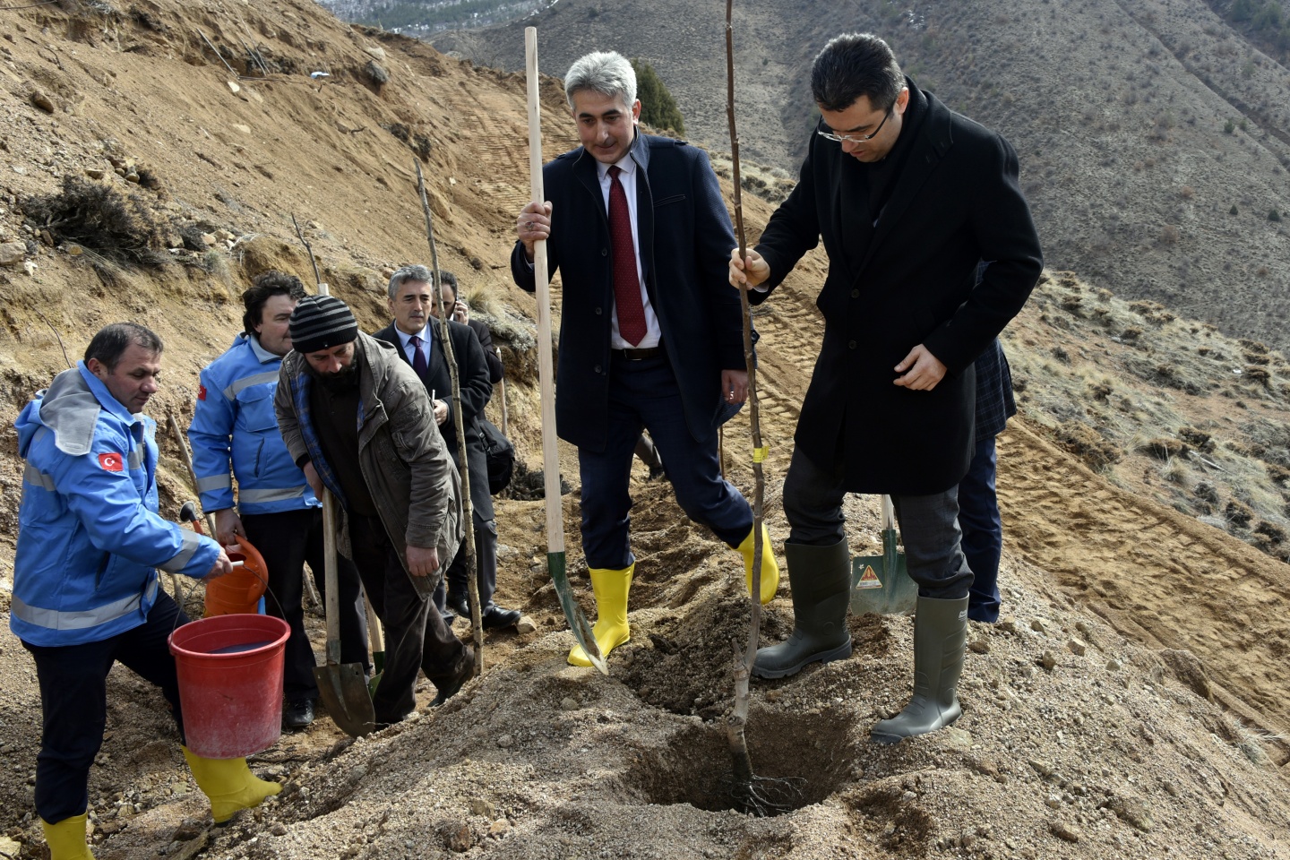 Gümüşhane’de ceviz seferberliği devam ediyor 13