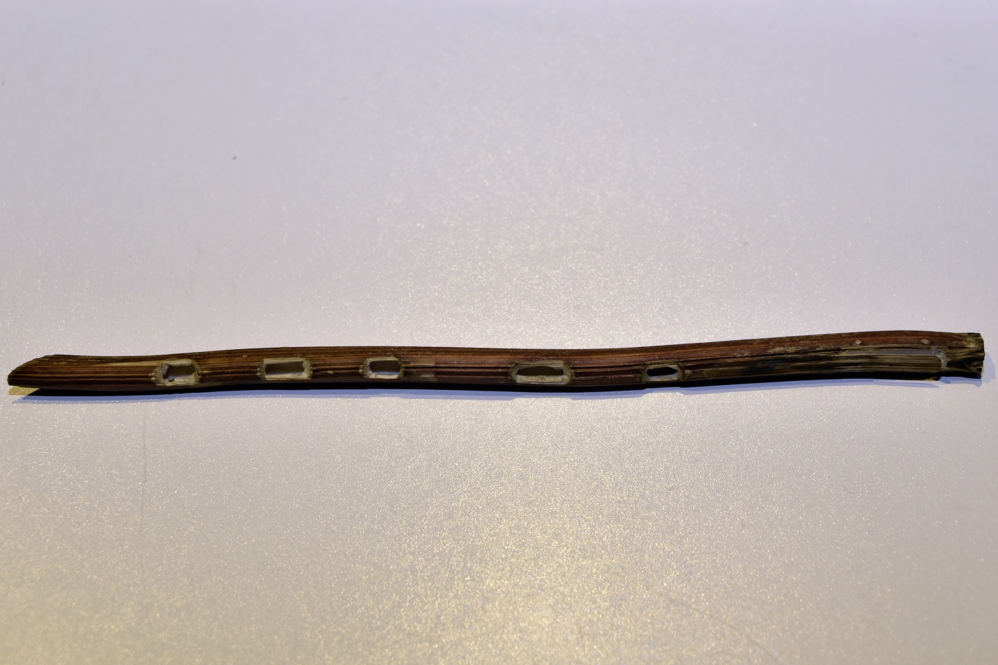 Ne Ney ne Zurna ne Sipsi 5