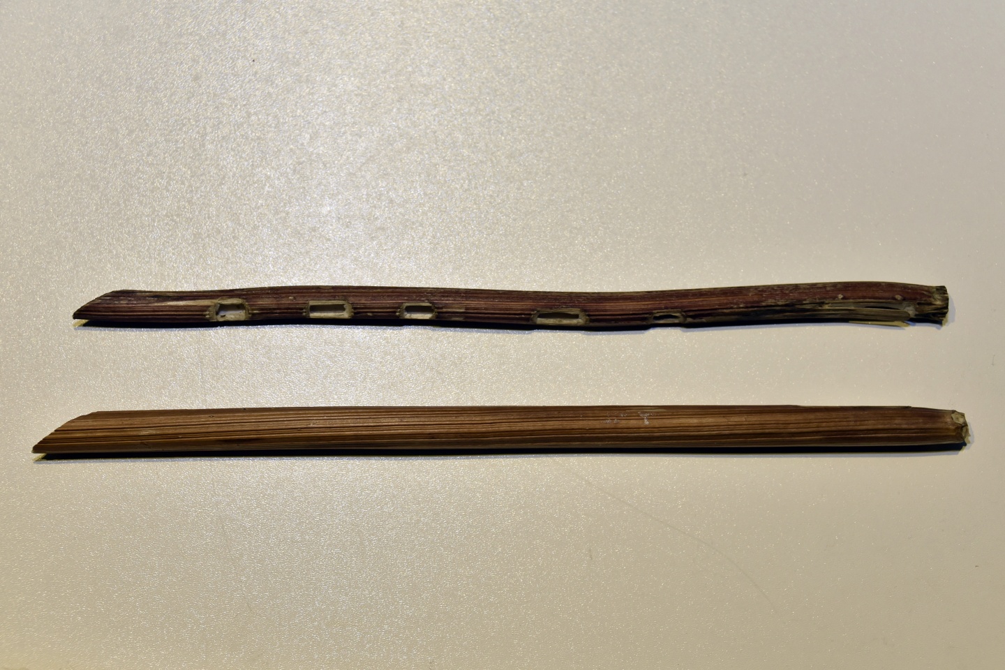 Ne Ney ne Zurna ne Sipsi 3