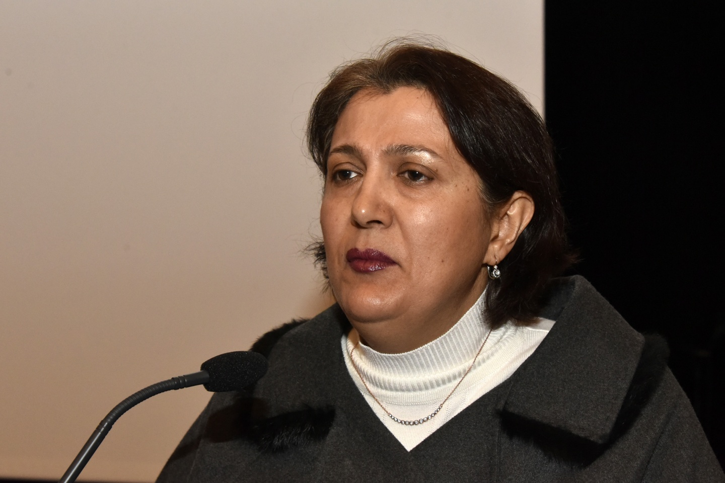 Gümüşhane’de Kadına Yönelik Şiddete Karşı Mücadele Günü programı 28