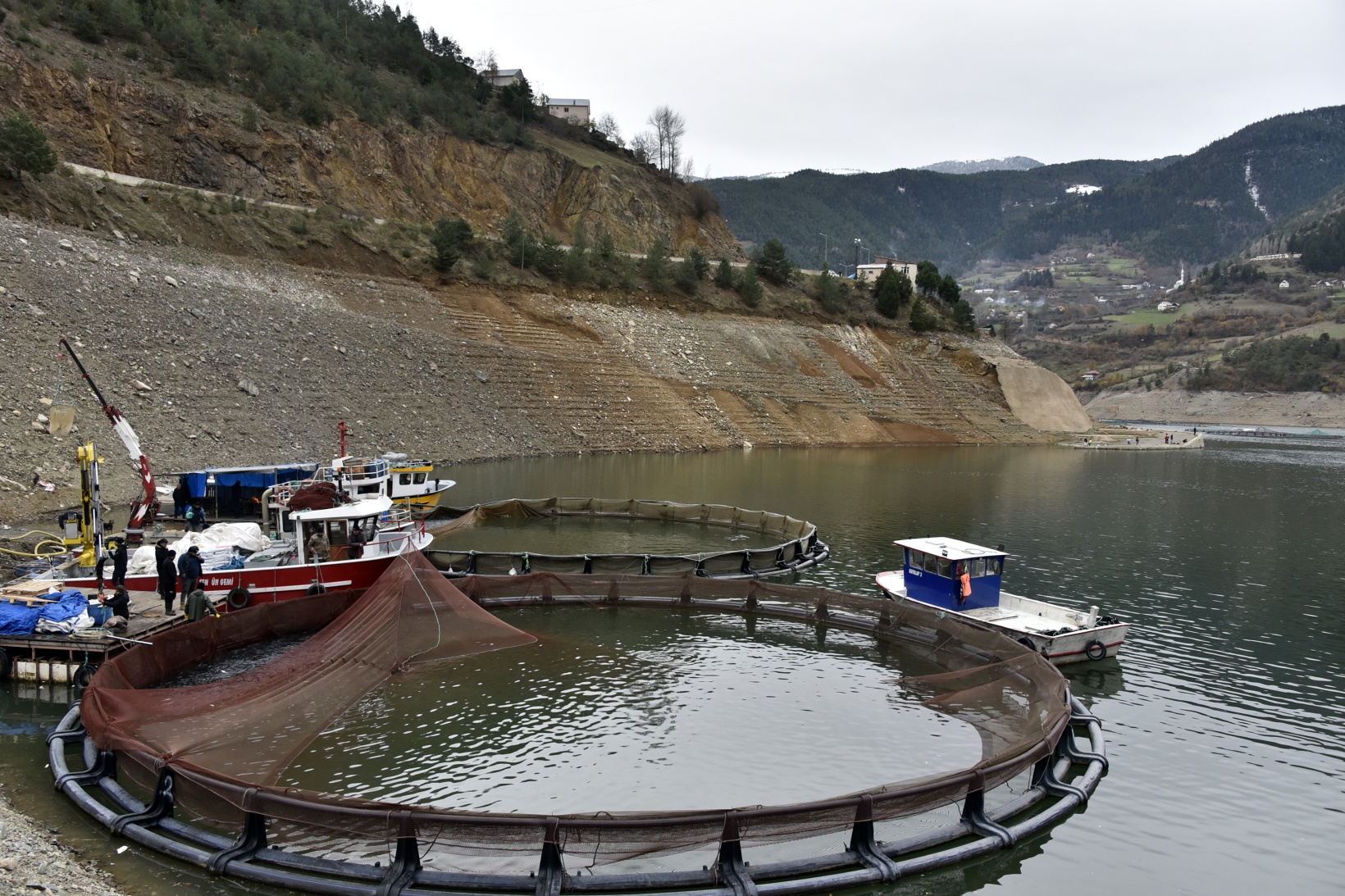 Karlı dağların arasından dünyaya balık ihracatı 31