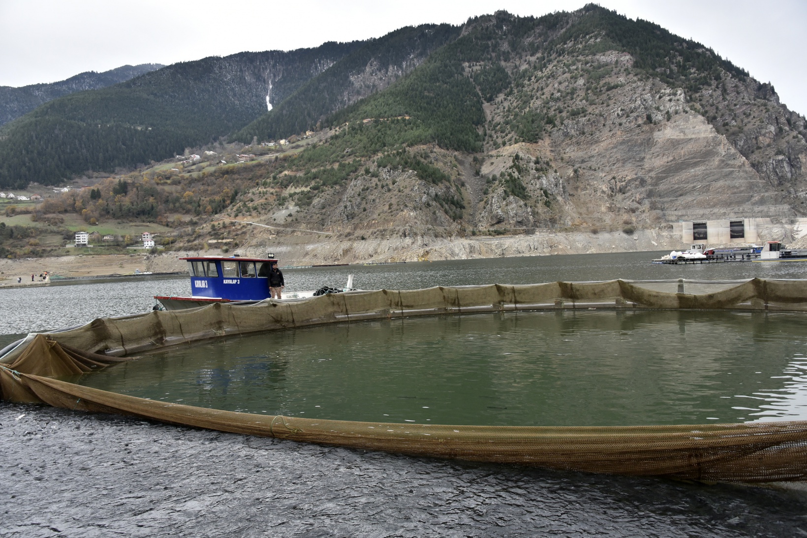 Karlı dağların arasından dünyaya balık ihracatı 27