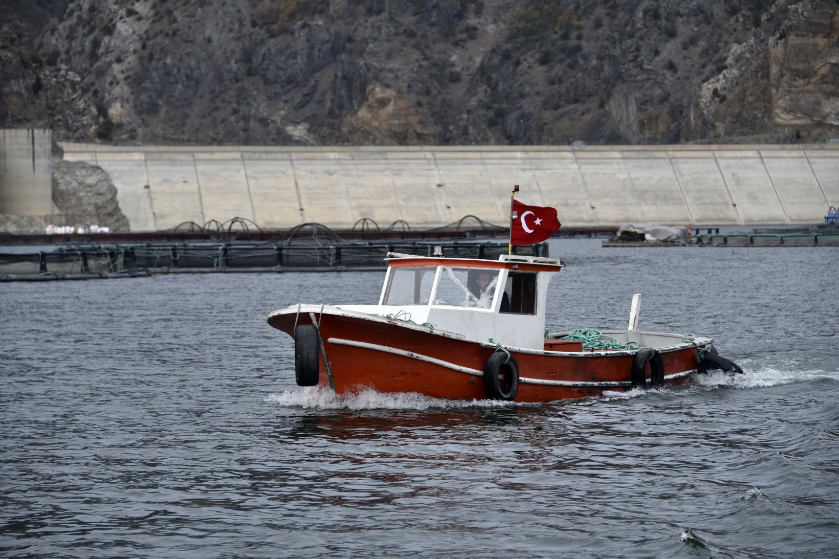 Karlı dağların arasından dünyaya balık ihracatı 21