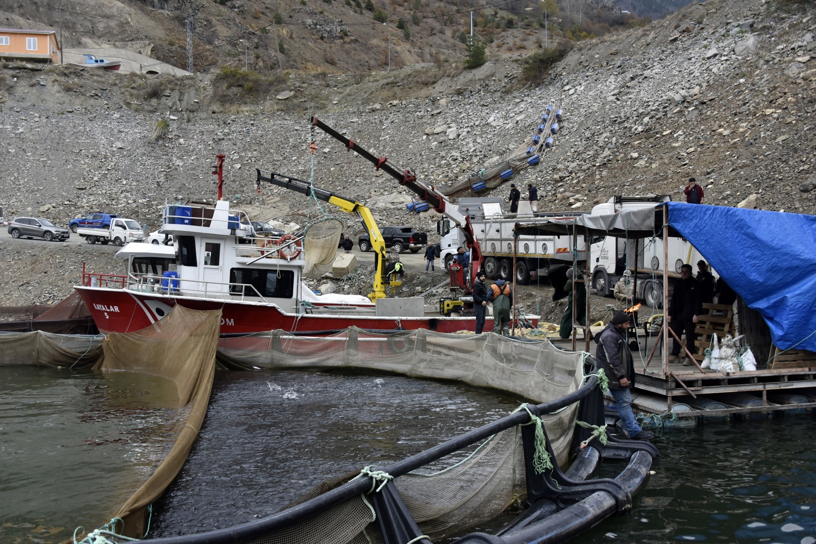 Karlı dağların arasından dünyaya balık ihracatı 16