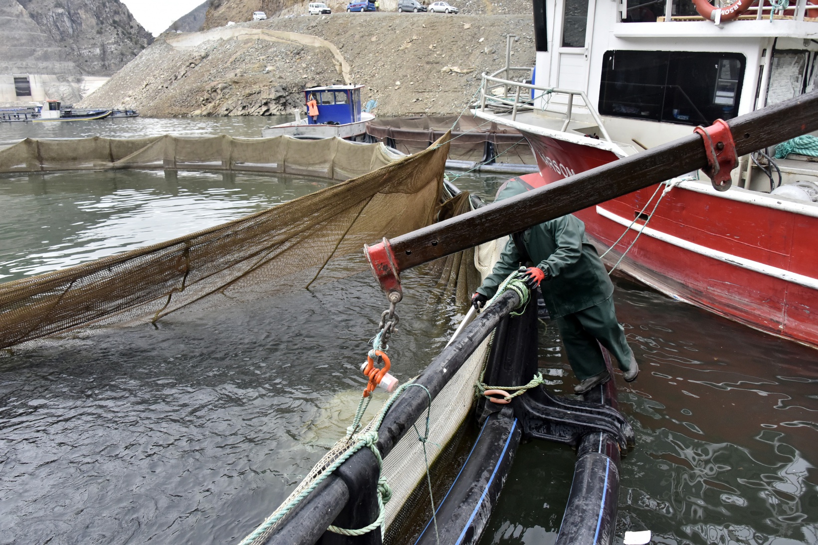 Karlı dağların arasından dünyaya balık ihracatı 29