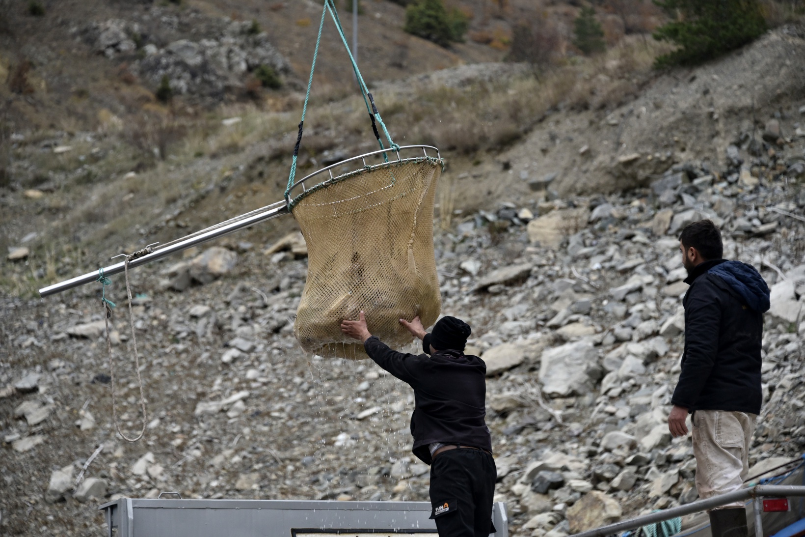 Karlı dağların arasından dünyaya balık ihracatı 32