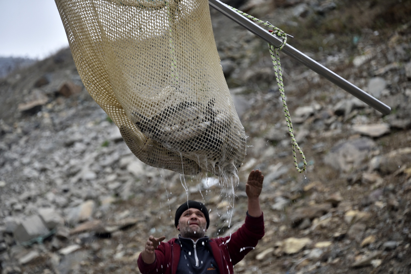 Karlı dağların arasından dünyaya balık ihracatı 12