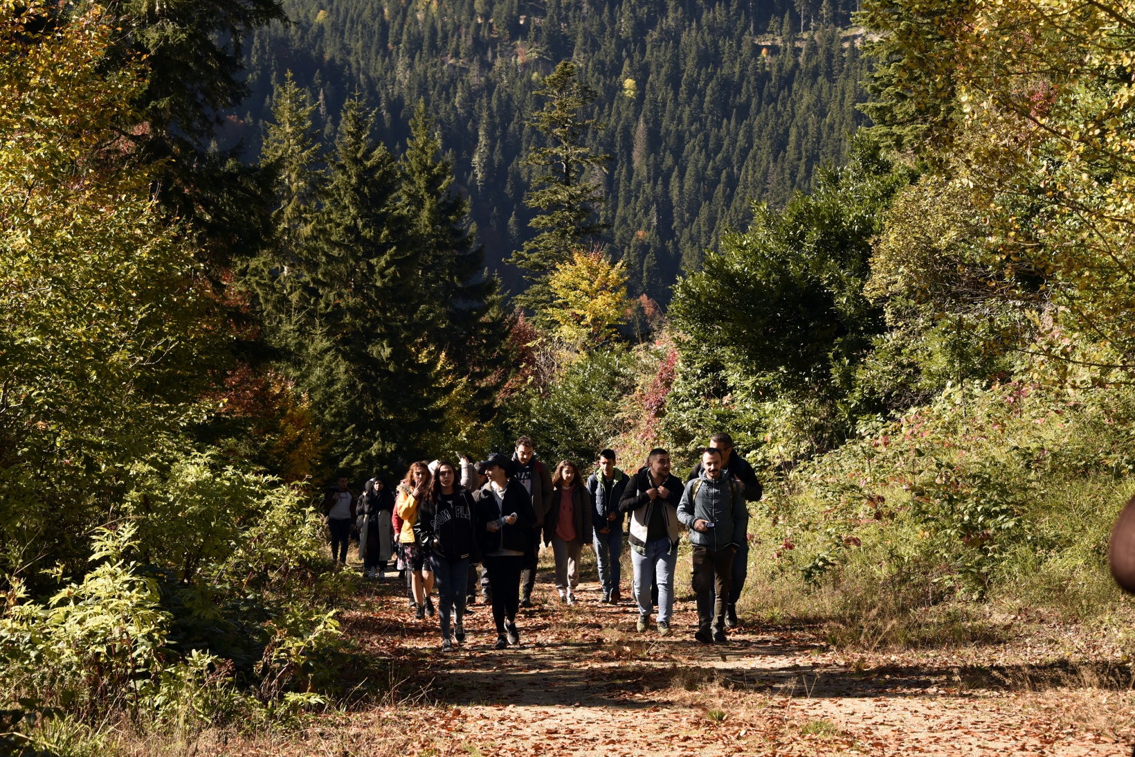 Eşsiz manzarayı görmek için canlı ağaç müzesine akın ettiler 13