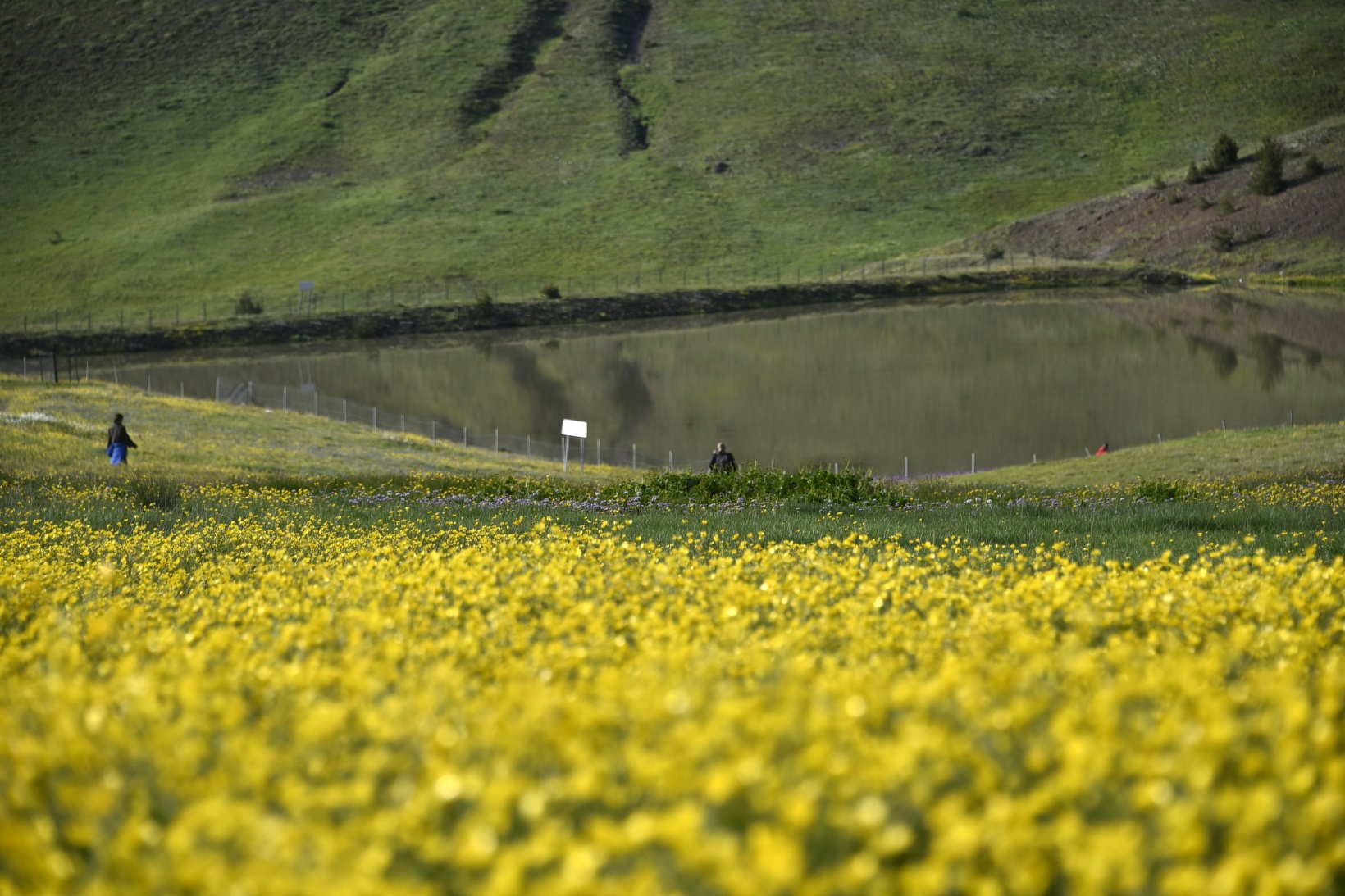 Gümüşhaneli dağcılar yılın ilk kampını Büyükyayla’da gerçekleştirdi 12