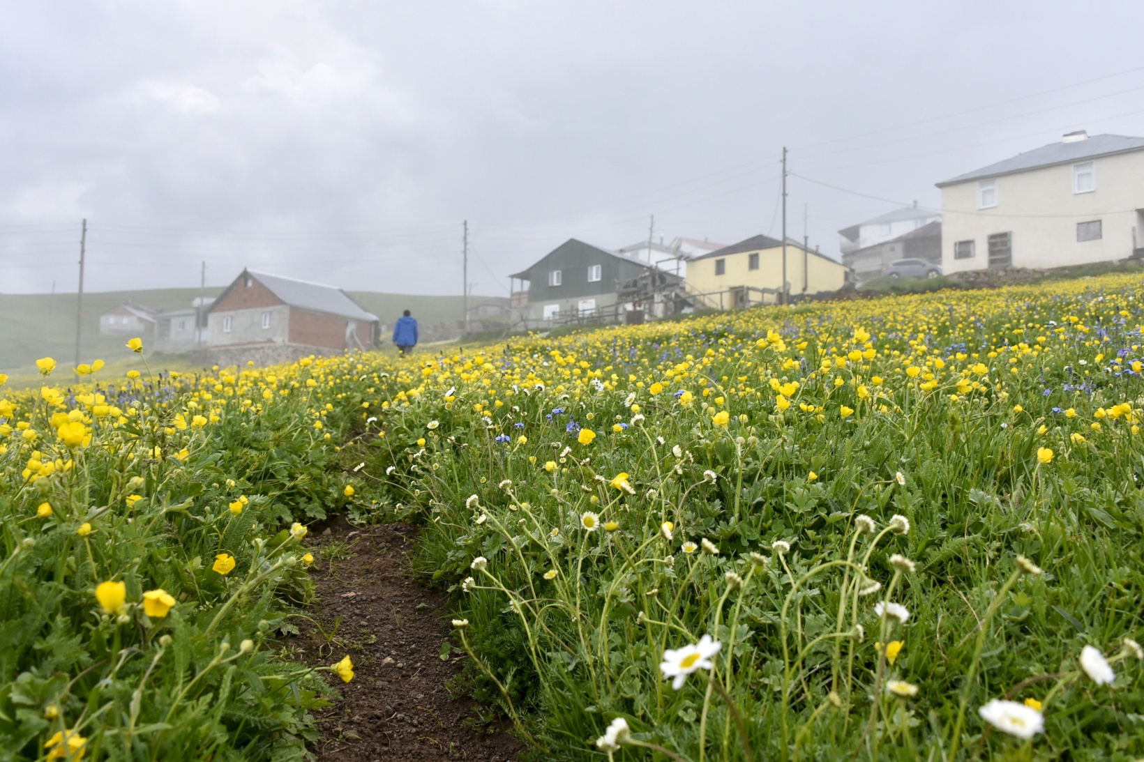 Gümüşhaneli dağcılar yılın ilk kampını Büyükyayla’da gerçekleştirdi 18