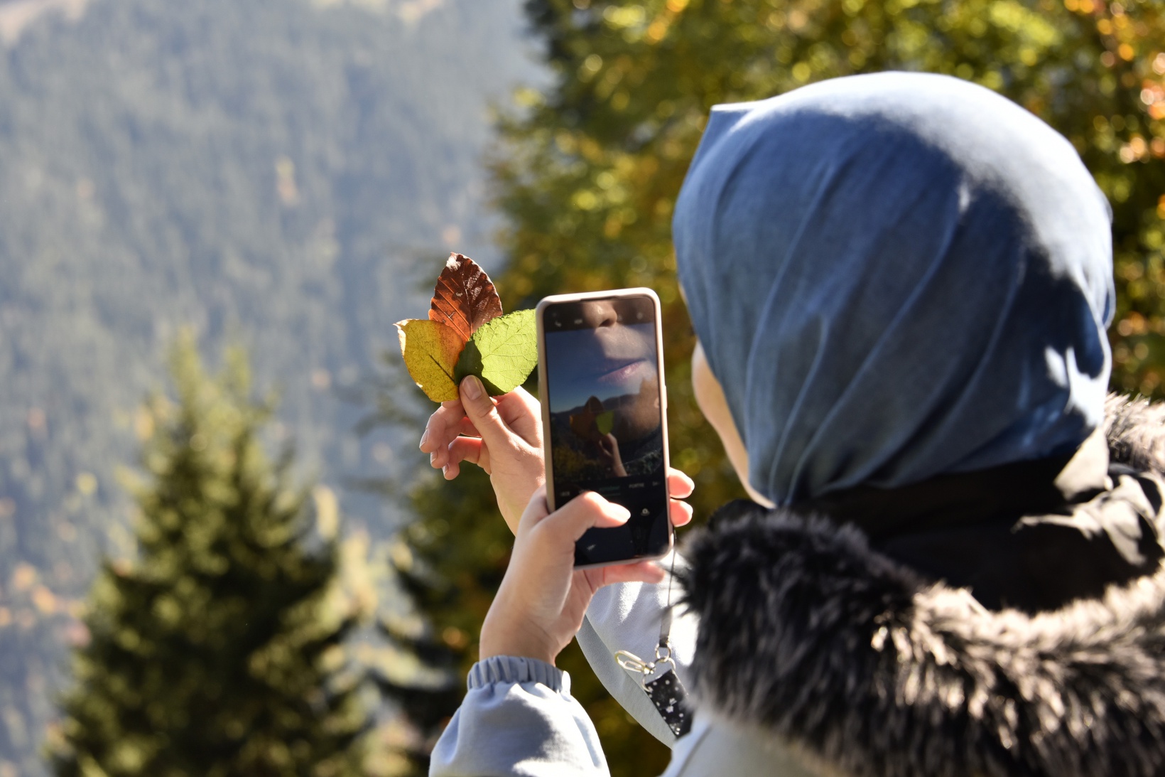 Eşsiz manzarayı görmek için canlı ağaç müzesine akın ettiler 15