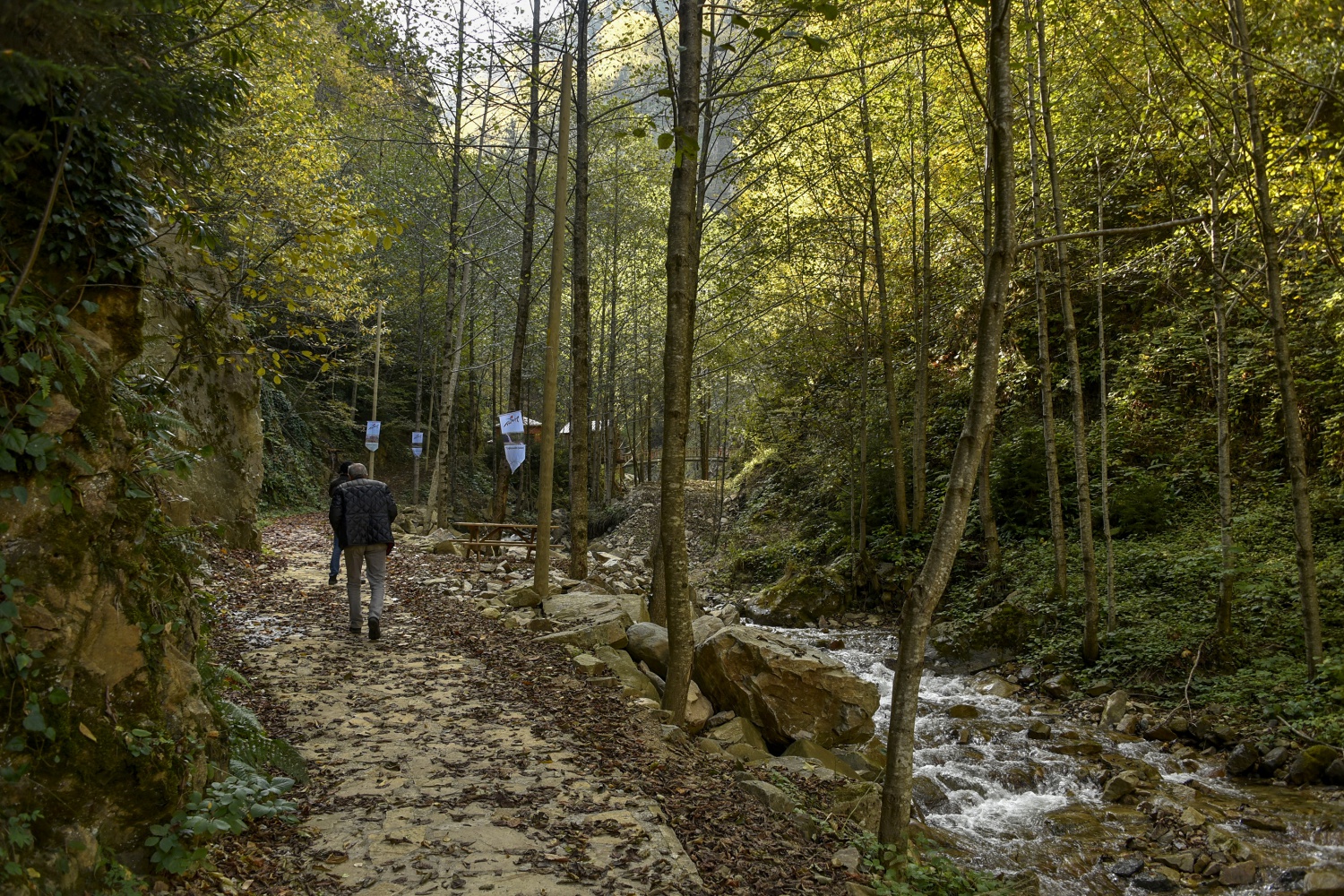 Örümcek Ormanlarında renk cümbüşü 14