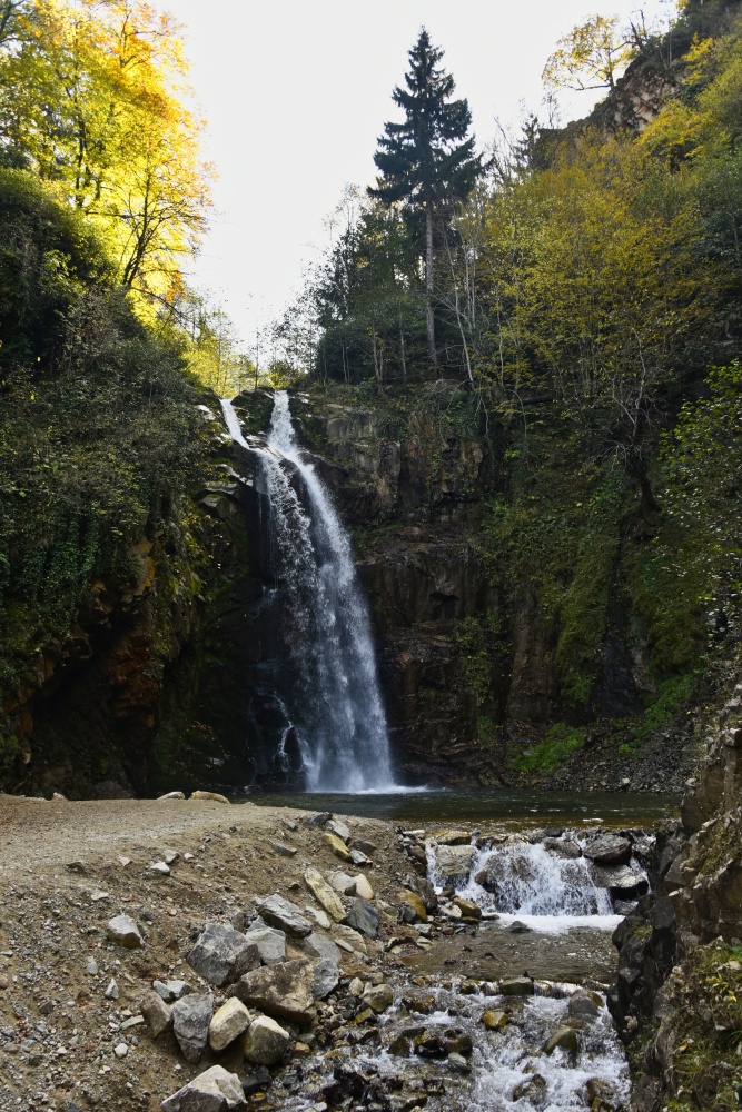Örümcek Ormanlarında renk cümbüşü 16