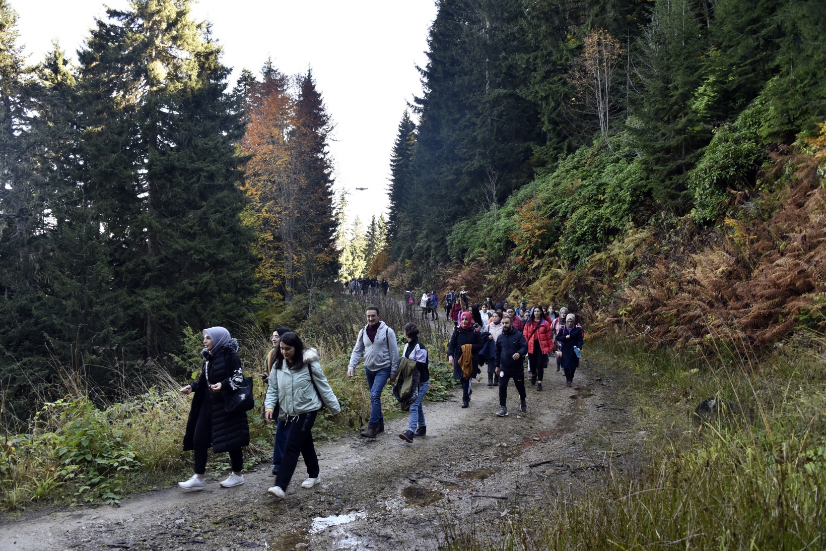 Eşsiz manzarayı görmek için canlı ağaç müzesine akın ettiler 40