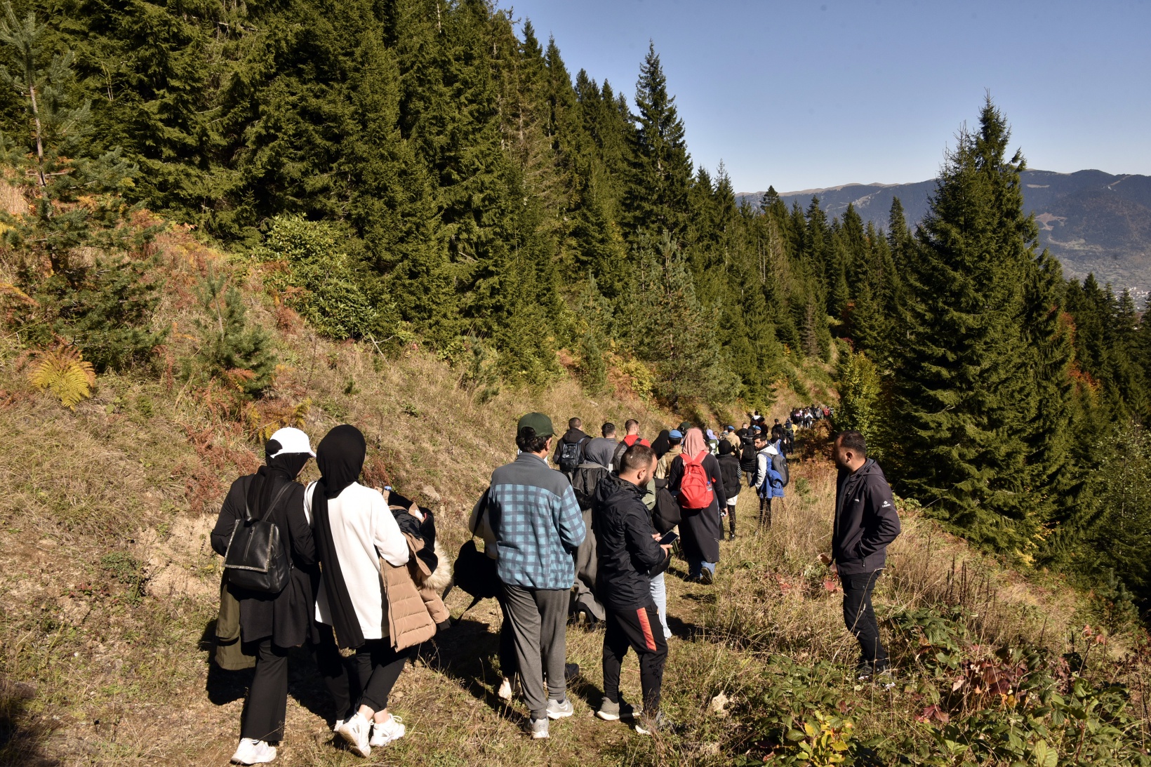 Eşsiz manzarayı görmek için canlı ağaç müzesine akın ettiler 10