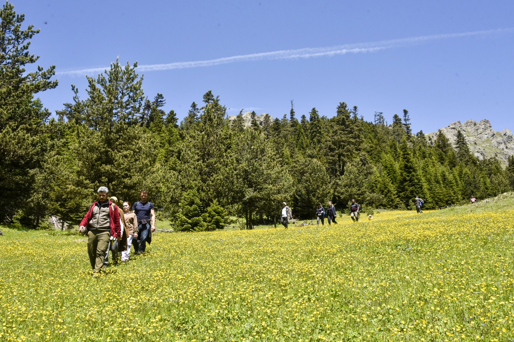 Gümüşhaneli dağcılar yılın ilk kampını Büyükyayla’da gerçekleştirdi 8