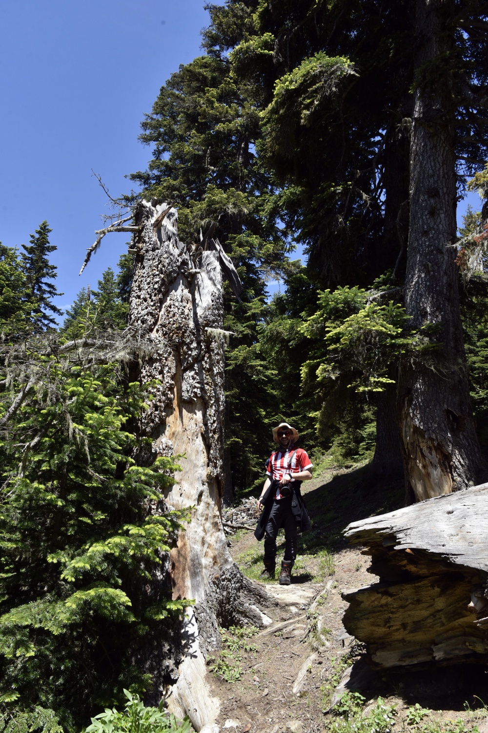 Gümüşhaneli dağcılar yılın ilk kampını Büyükyayla’da gerçekleştirdi 6