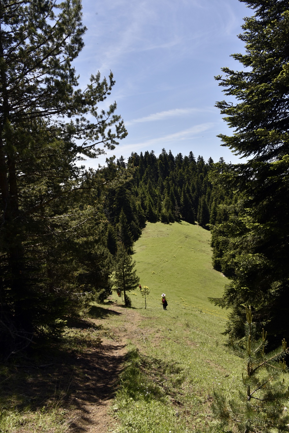 Gümüşhaneli dağcılar yılın ilk kampını Büyükyayla’da gerçekleştirdi 15
