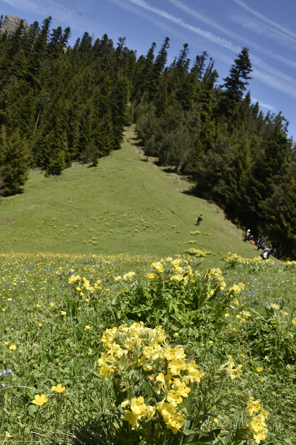 Gümüşhaneli dağcılar yılın ilk kampını Büyükyayla’da gerçekleştirdi 9