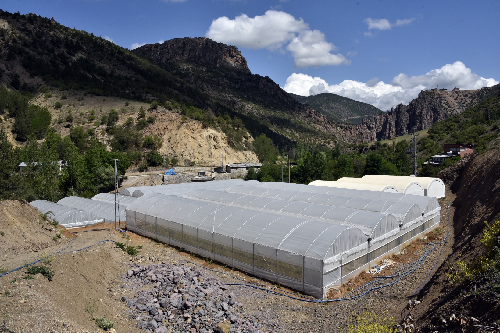 Gümüşhane’nin en büyük sera alanını Torul Belediyesi kurdu 6