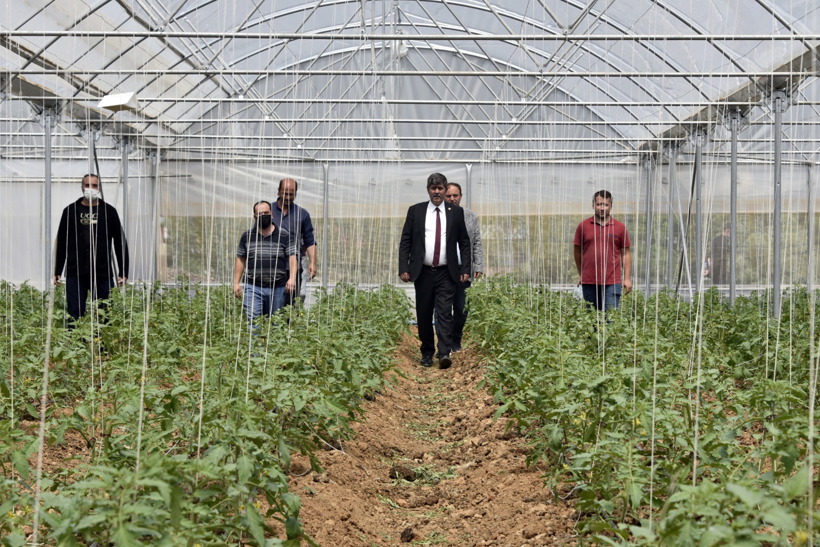 Gümüşhane’nin en büyük sera alanını Torul Belediyesi kurdu 11