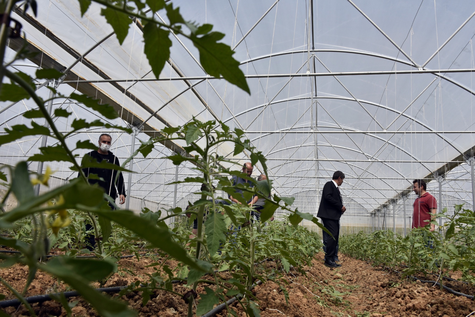 Gümüşhane’nin en büyük sera alanını Torul Belediyesi kurdu 15