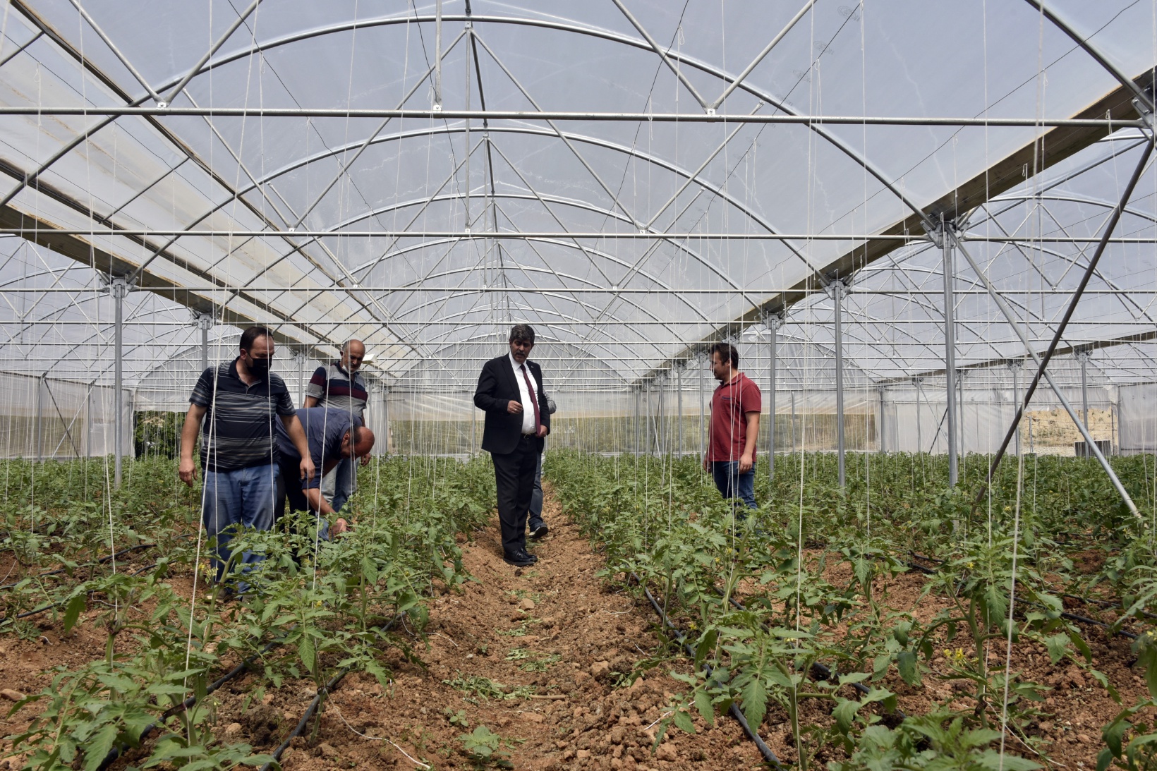 Gümüşhane’nin en büyük sera alanını Torul Belediyesi kurdu 5