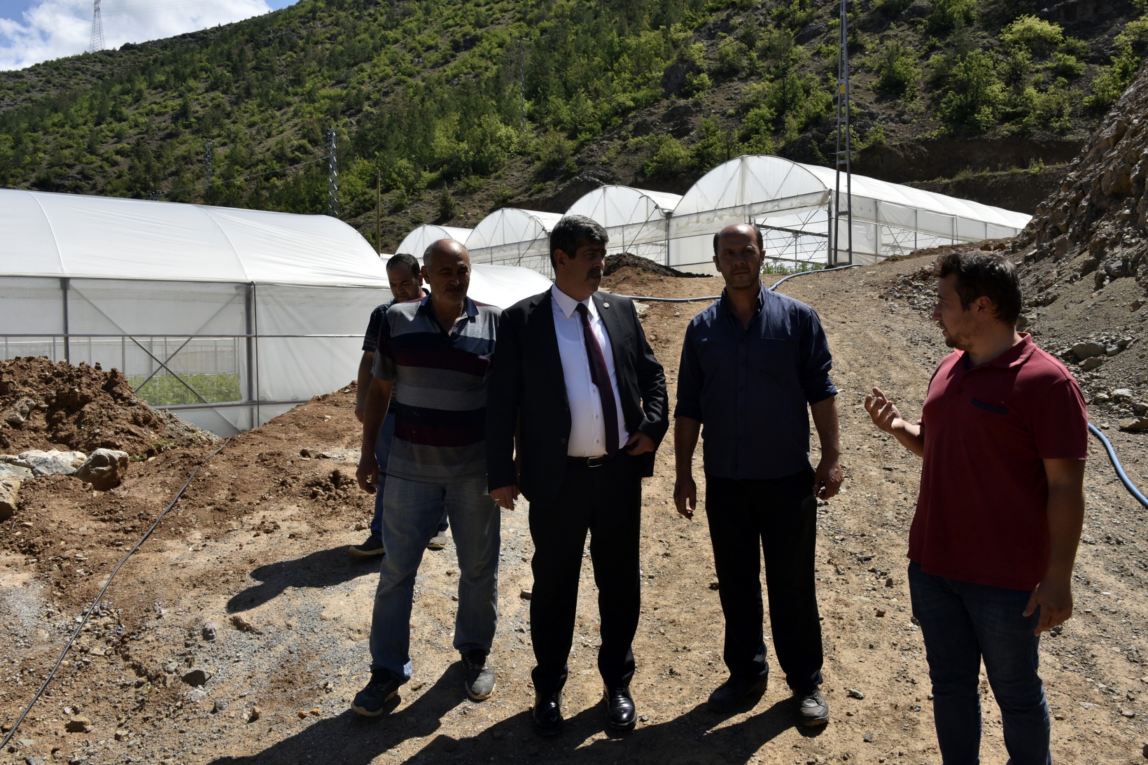 Gümüşhane’nin en büyük sera alanını Torul Belediyesi kurdu 17