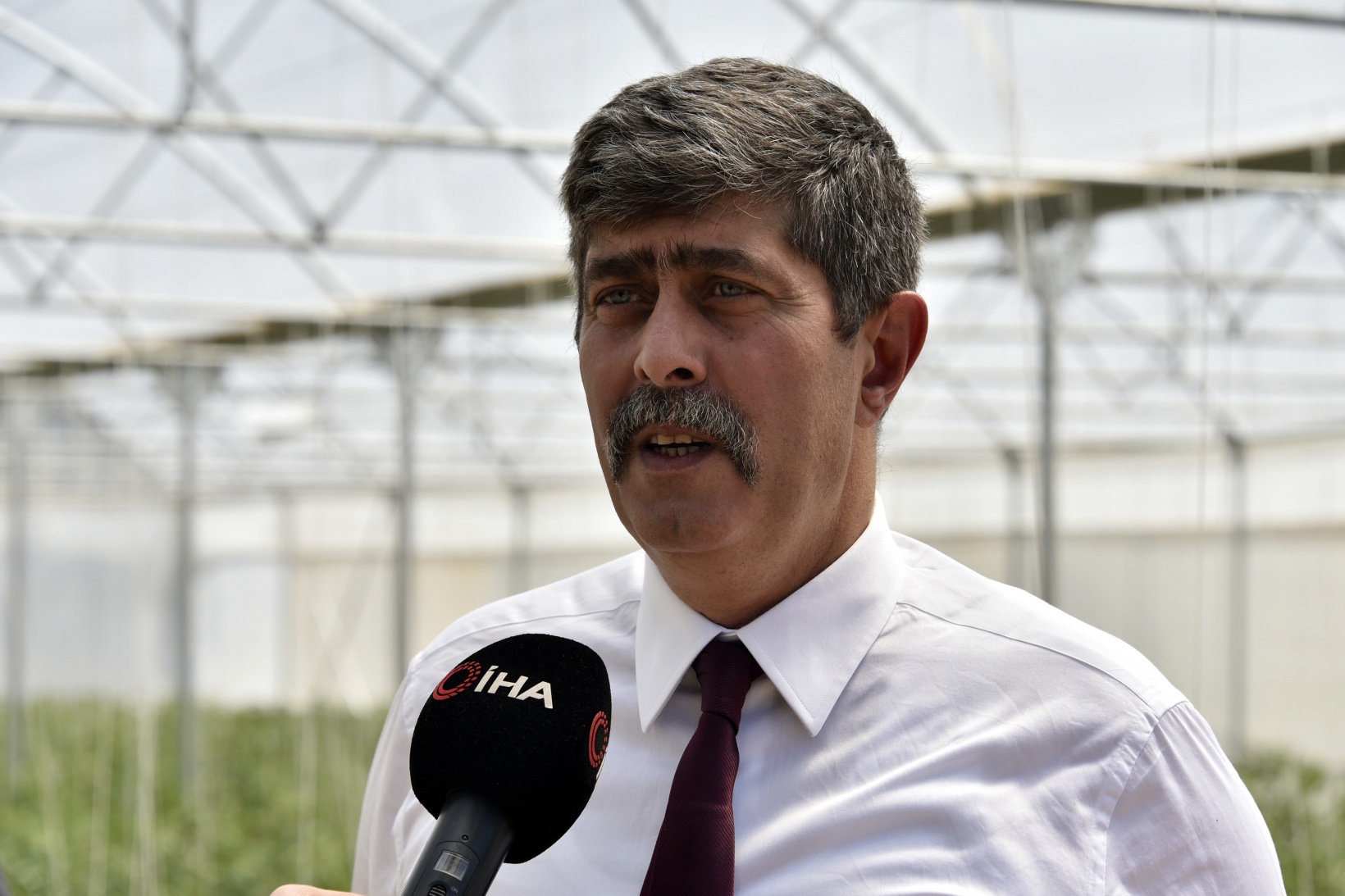 Gümüşhane’nin en büyük sera alanını Torul Belediyesi kurdu 9