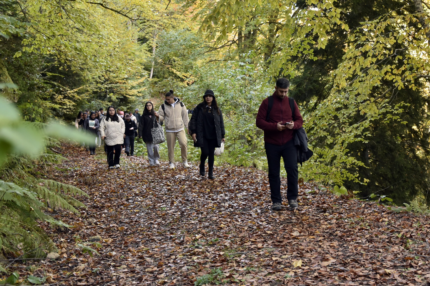Eşsiz manzarayı görmek için canlı ağaç müzesine akın ettiler 28