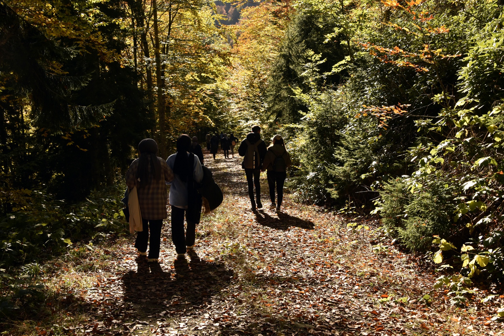 Eşsiz manzarayı görmek için canlı ağaç müzesine akın ettiler 27