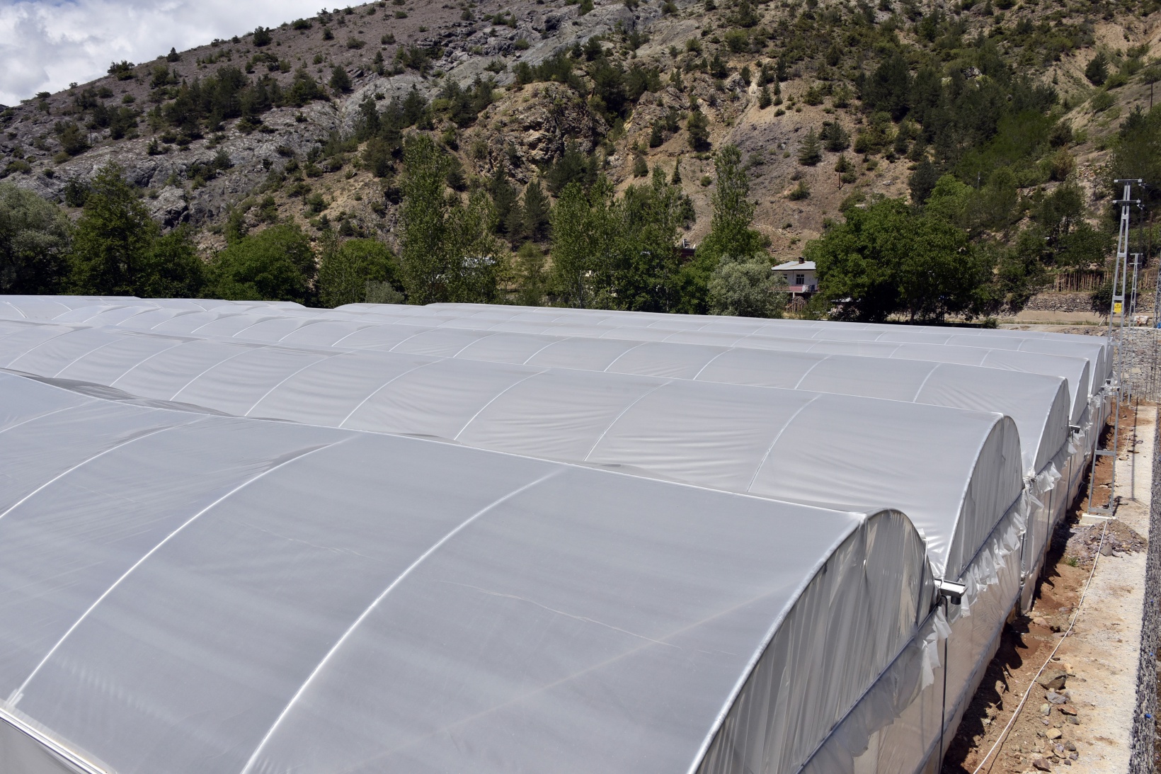 Gümüşhane’nin en büyük sera alanını Torul Belediyesi kurdu 14