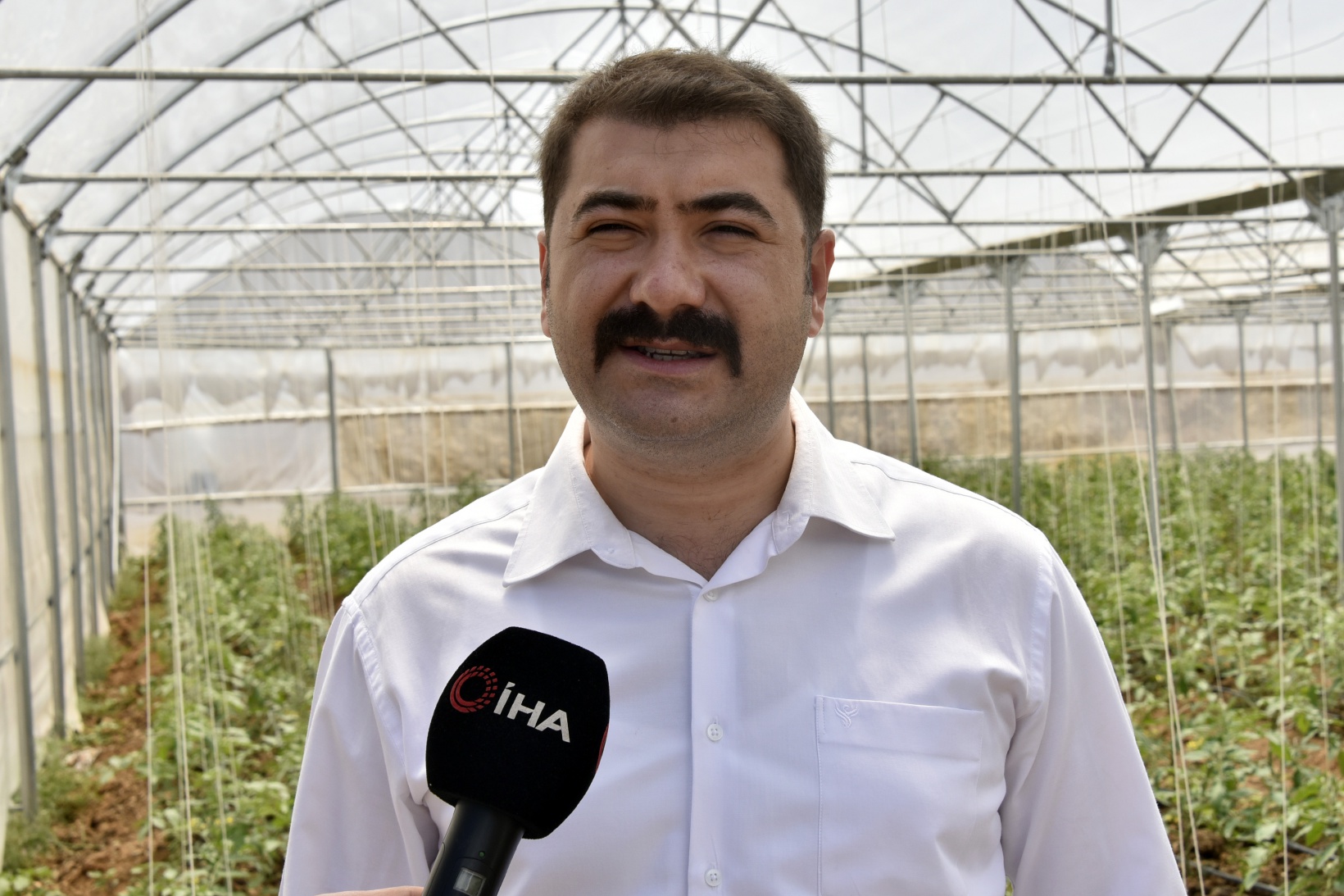 Gümüşhane’nin en büyük sera alanını Torul Belediyesi kurdu 7