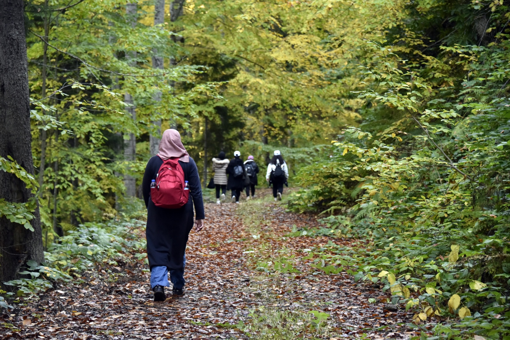 Eşsiz manzarayı görmek için canlı ağaç müzesine akın ettiler 42