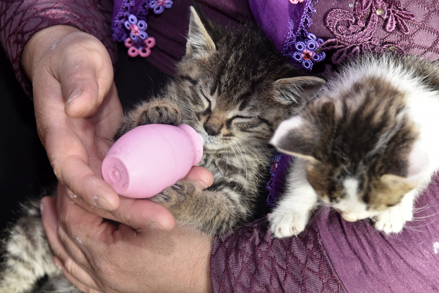 Evlerini ve gönüllerini Pamuk ve Şahin’e açtılar 6