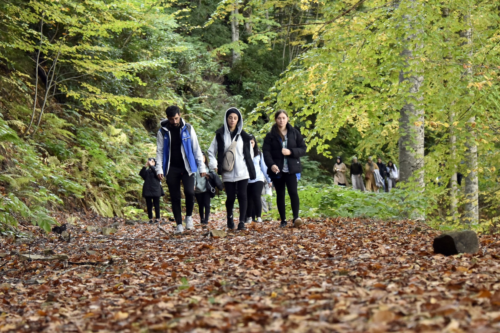 Eşsiz manzarayı görmek için canlı ağaç müzesine akın ettiler 11