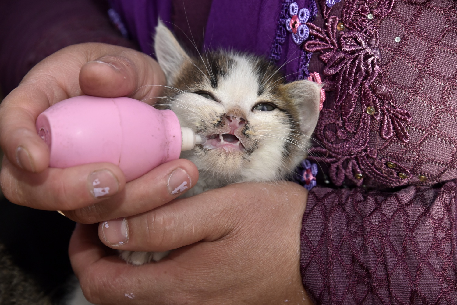 Evlerini ve gönüllerini Pamuk ve Şahin’e açtılar 11