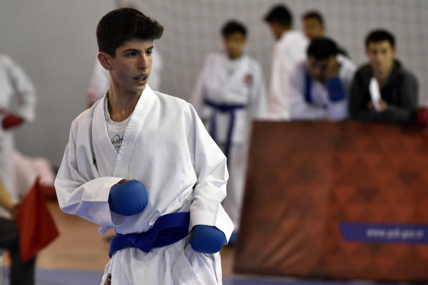 Okullar Arası Gençler Karate müsabakaları Gümüşhane’de başladı 1