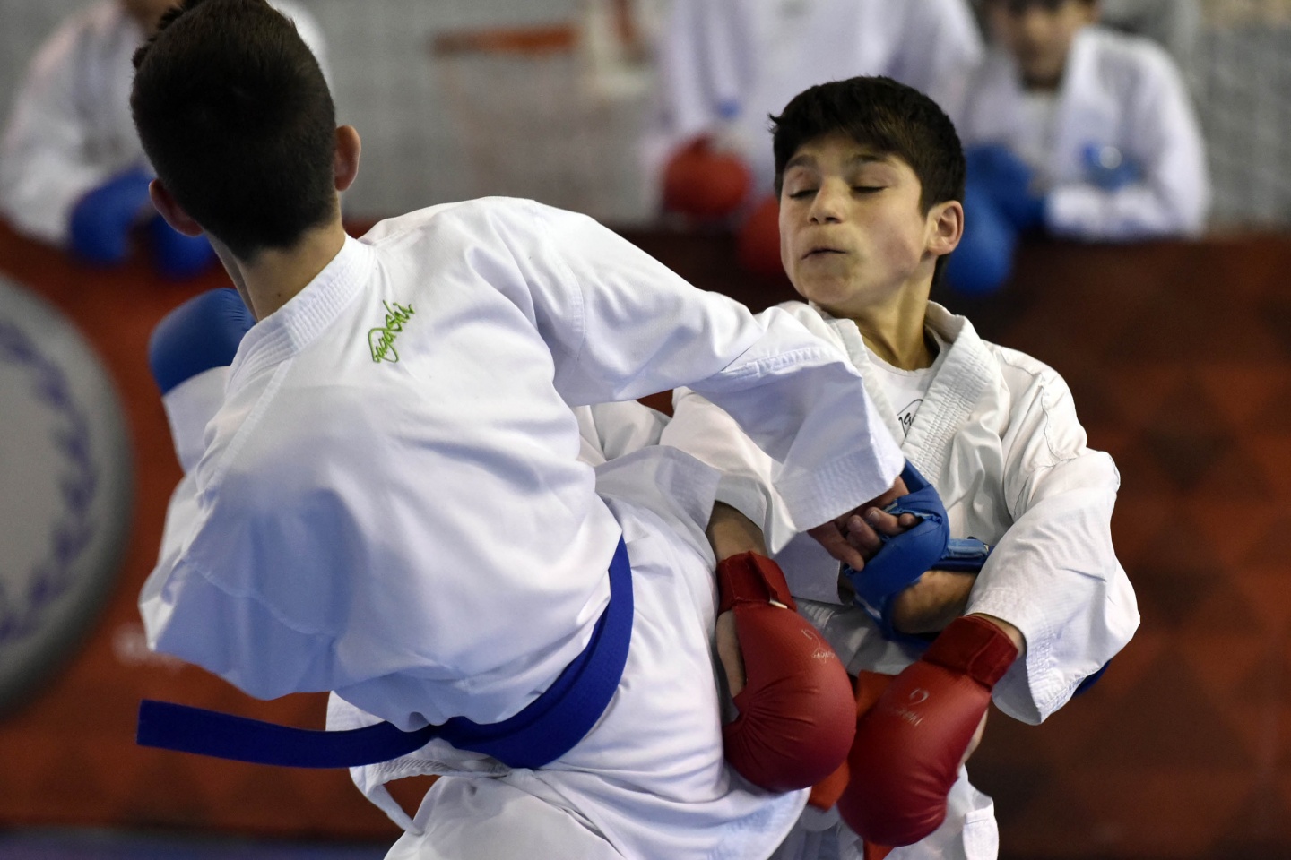 Okullar Arası Gençler Karate müsabakaları Gümüşhane’de başladı 19