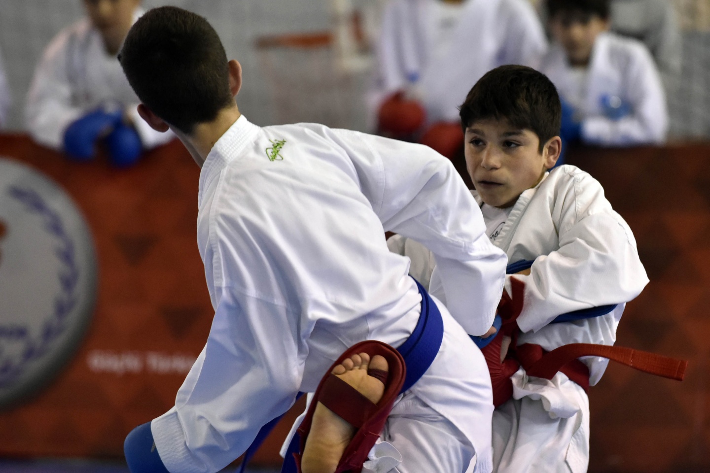 Okullar Arası Gençler Karate müsabakaları Gümüşhane’de başladı 35