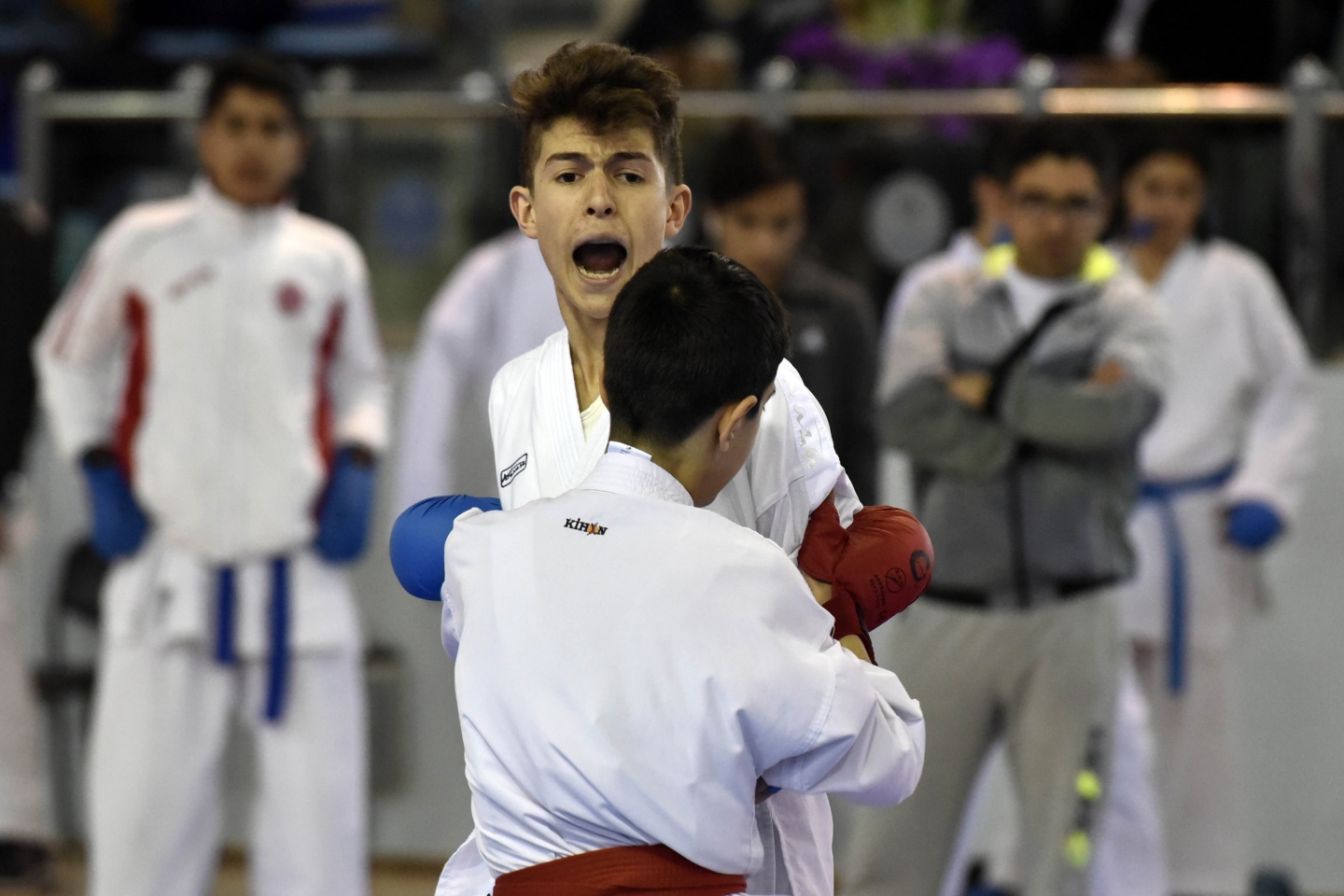 Okullar Arası Gençler Karate müsabakaları Gümüşhane’de başladı 29