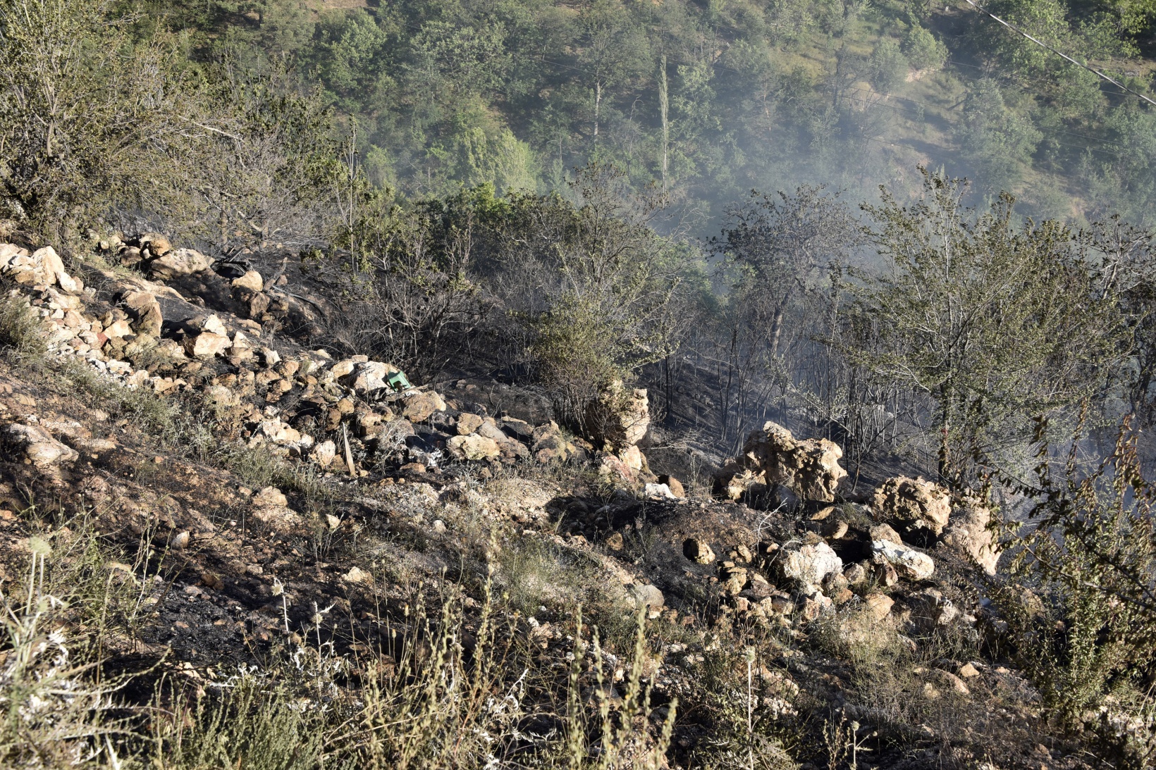Torul'da korkutan yangın 15