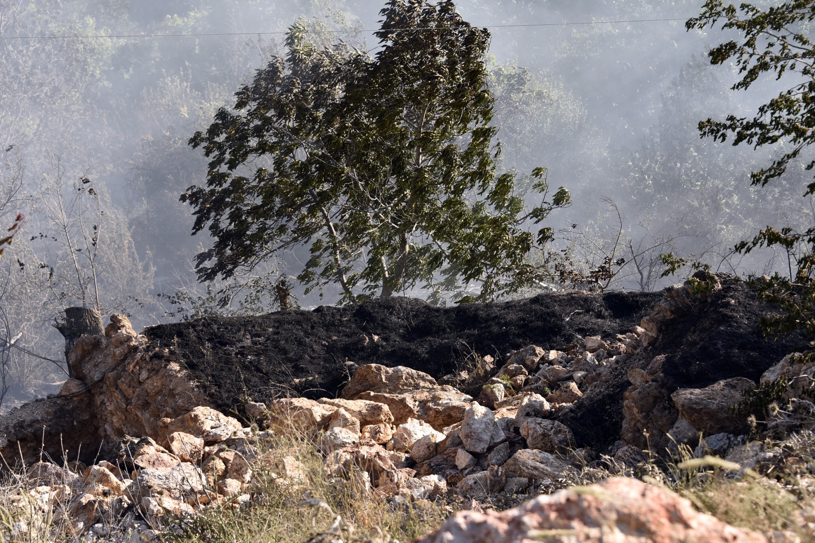 Torul'da korkutan yangın 6