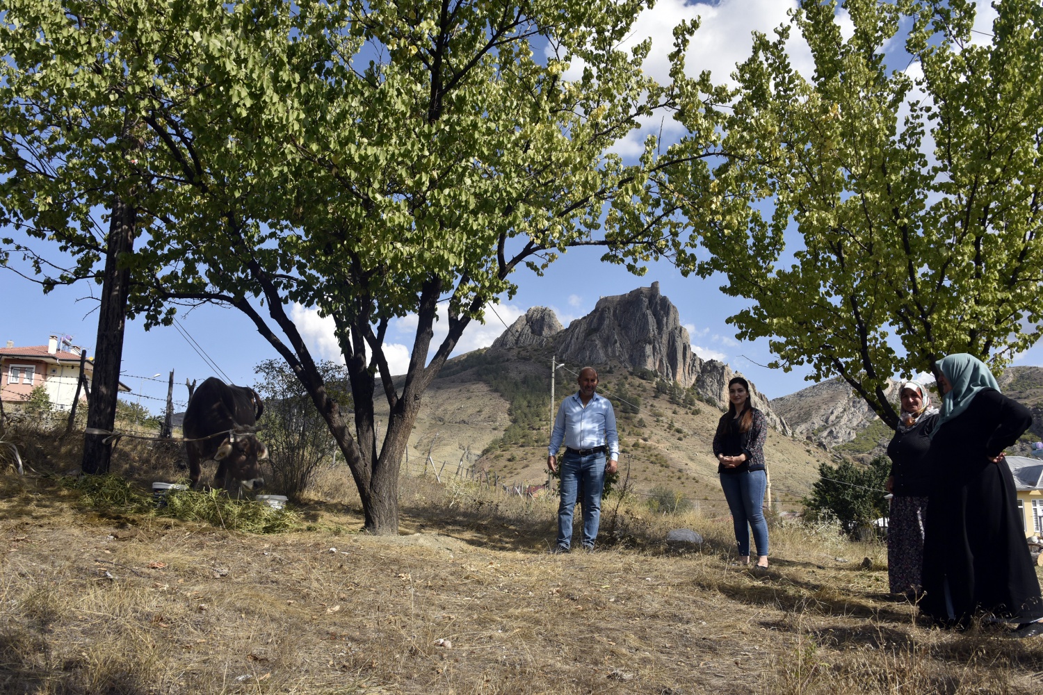Bayburt’tan kaçan inek Gümüşhane’de bulundu 9