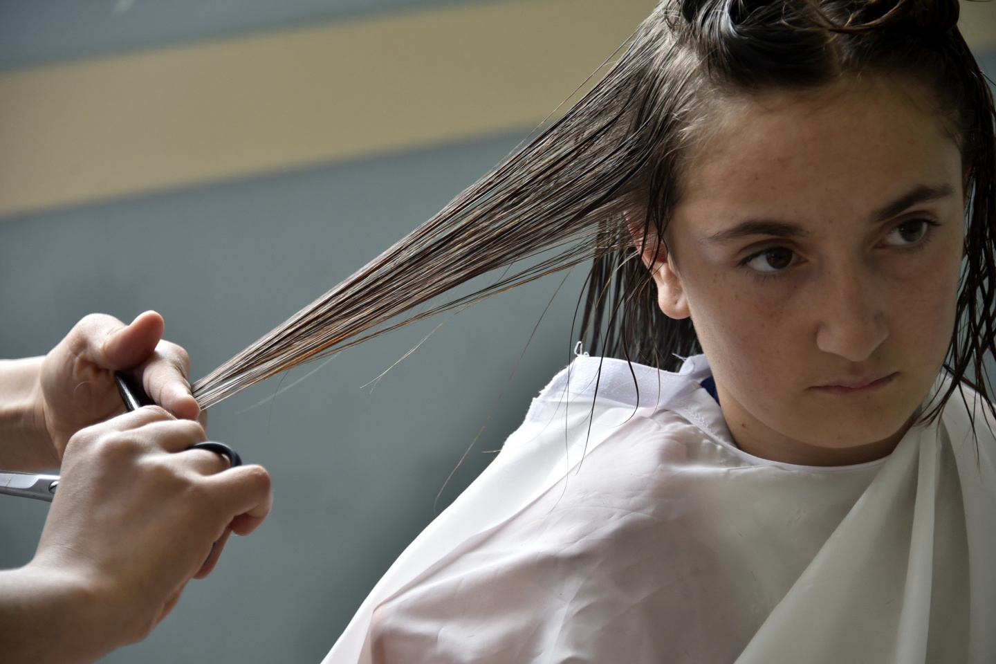 Hayme Ana MTAL'den örnek proje 12