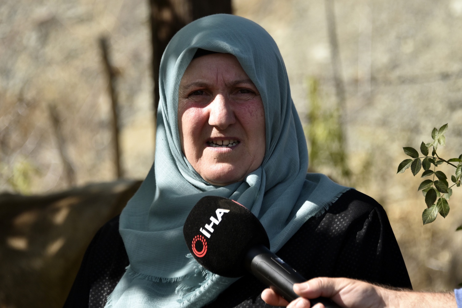 Bayburt’tan kaçan inek Gümüşhane’de bulundu 1