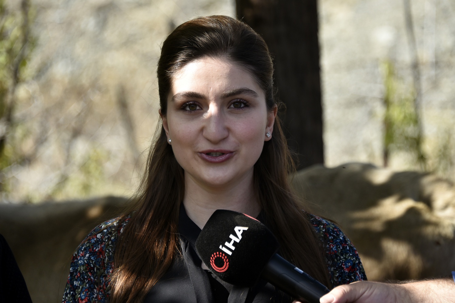 Bayburt’tan kaçan inek Gümüşhane’de bulundu 4