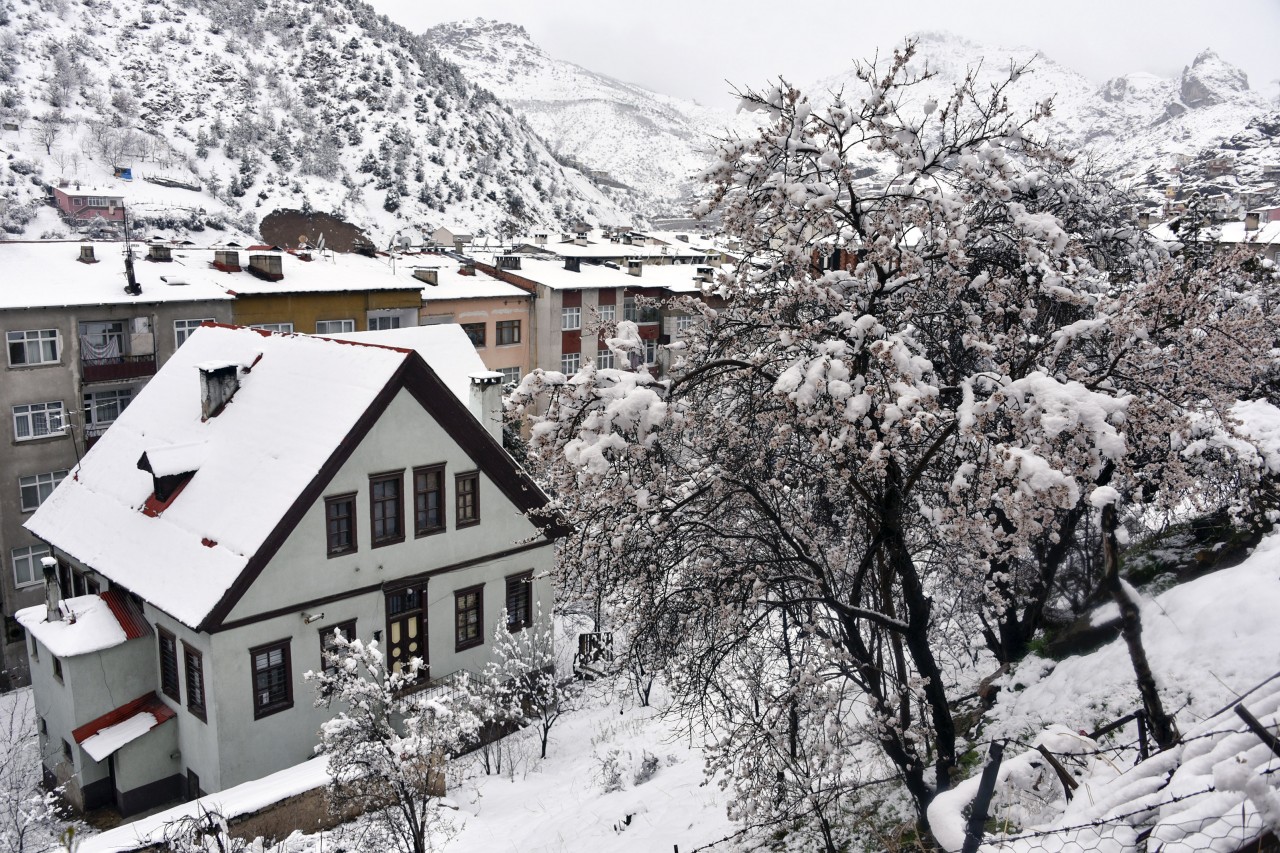 Gümüşhane 20 Mart'ta beyaza büründü 7