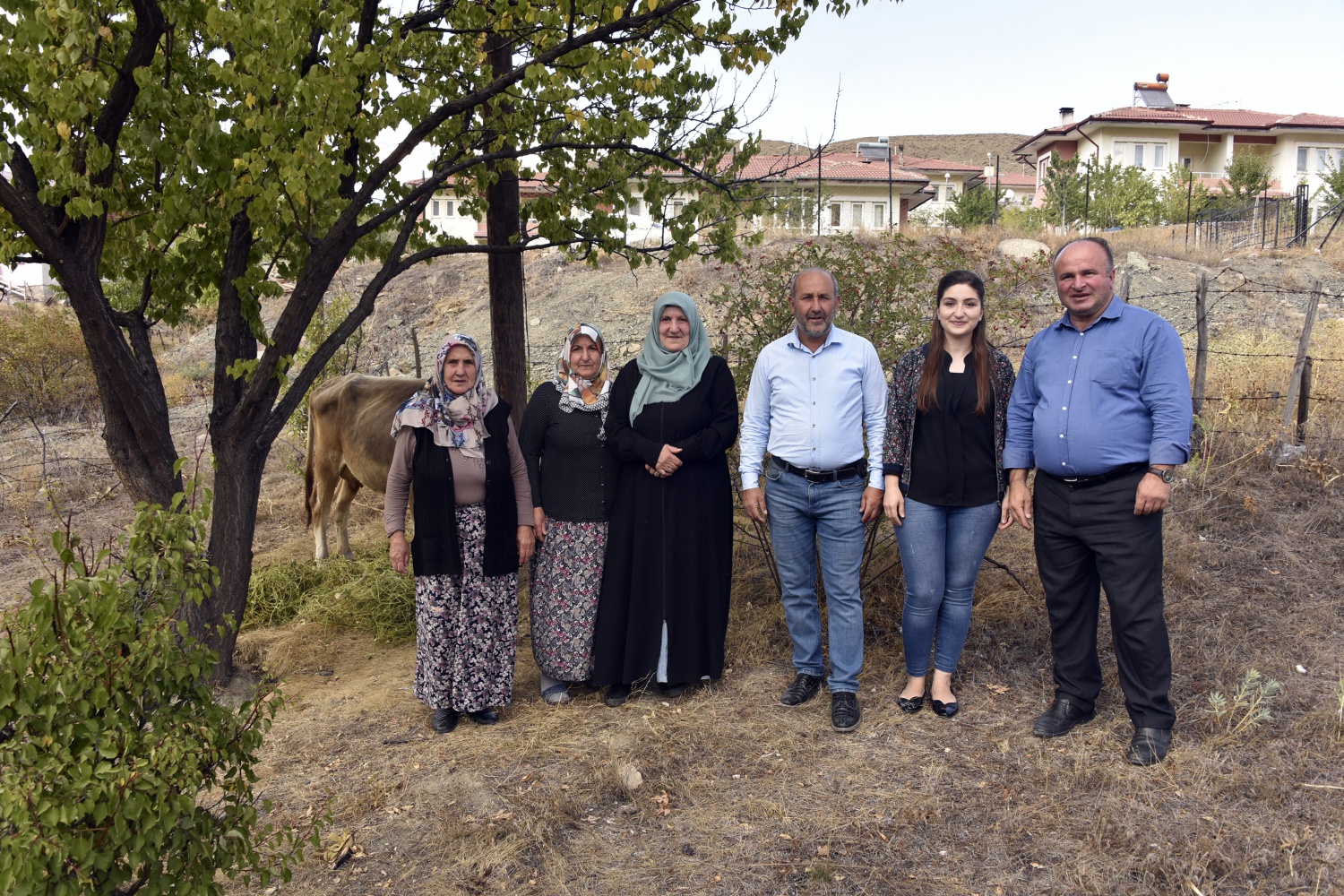 Bayburt’tan kaçan inek Gümüşhane’de bulundu 7